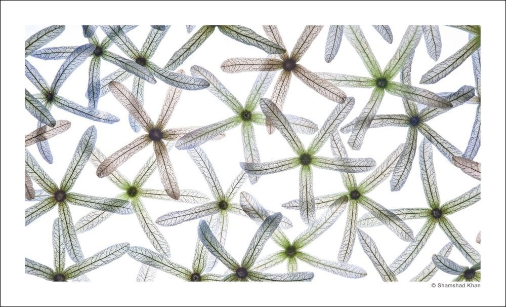 Promoting the Exhibition