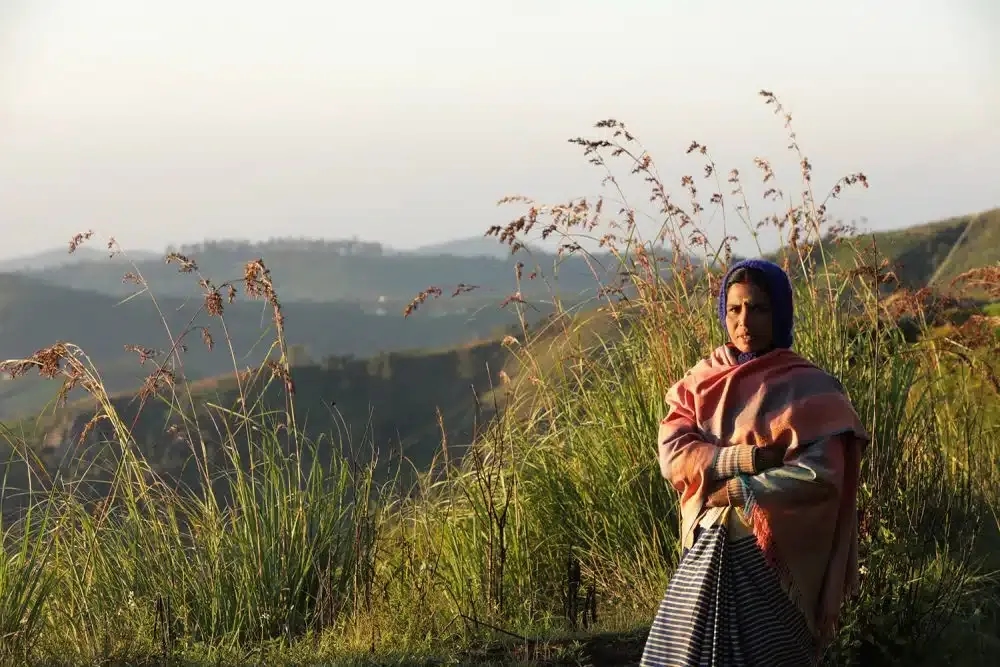 Yellow: The Warmth of Sunshine