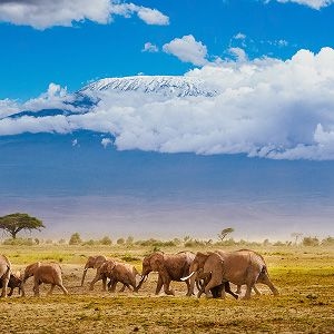 Raj-LLA Website5.jpg